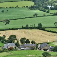 Paysage agricole