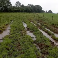 Priairie gorgée d’eau chez un éleveur du Cantal