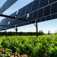 panneaux agrivoltaïques au-dessus des vignes