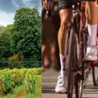 premier mondial cyclisme en agriculture bourgogne