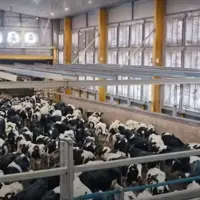 projet 270 000 désert algérie