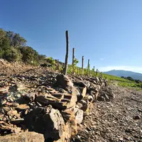 projet régénération sols méditerranée