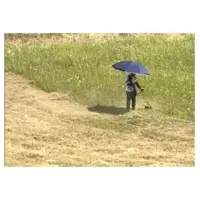 Un homme tond avec une ombrelle.