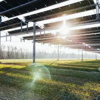 panneaux solaire champ agrivoltaïsme soleil