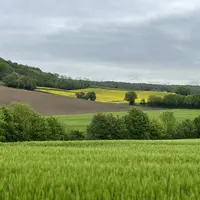 paysage de champs printanier avec des haies