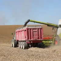 étude résilience agriculture grand est covid 19