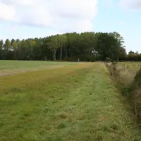 Fossé dans un champs