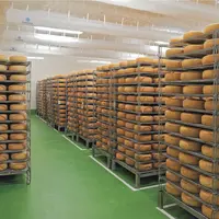 Atelier affinage à la fromagerie Istara dans les Pyrénées Atlantiques. Transformation de lait de brebis. production de fromage. fabrication de fromage