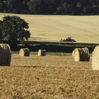 Paysage agricole avec bottes de paille