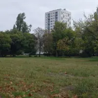Parcelle d'herbe entourée d'arbres avec une tour de logements sur le fond de l'image