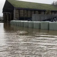 Ferme laitière inondée