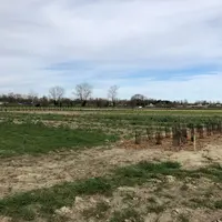 Terrain agricole de la Vaulx-en-Velin servant de test en maraichage bio
