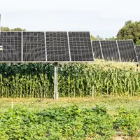 Surface test du projet agrivoltaïque Terr'Arbouts dans les Landes