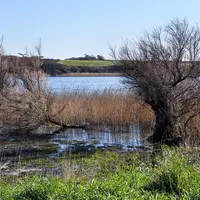 Etang au milieu d'un paysage agricole