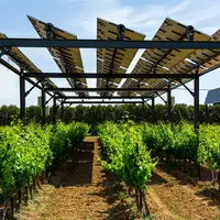 ombrières posées dans un vignoble