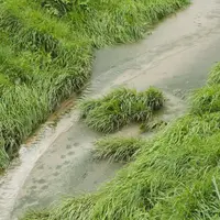 fossé inondé