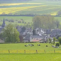 Paysage de prairies avec des vaches