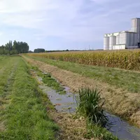 Zone non traitée (ZNT) au bord d’un cours d’eau