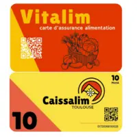 Montage photo des deux modes de paiement du projet Caissalim Toulouse. En haut la carte rouge Vitalim, en bas un ticket jaune Caissalim d'un montant d