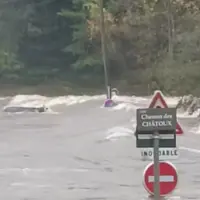 Vache emportée par une rivière en crue