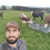 Un éleveur avec quatre vaches dans un pré à Chambons-sur-Lignon touché par l'épisode cévenol qui a fait déborder le Lignon.