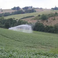 irrigation dans un champ vallonné