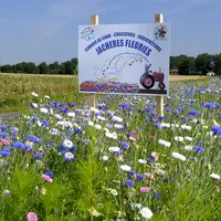 Fleurissement des bords de route