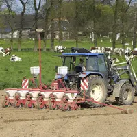 Agriculteur au volant de son tracteur pour le semis de ses maïs devant une prairie avec des vaches
