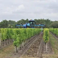 traitements champ de vigne