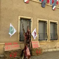 génisse dévorée accrochée aux barreaux de fenêtre de la sous-préfecture