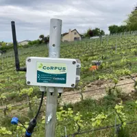 Système de pilotage de l'irrigation dans une parcelle de vigne