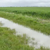 bordure de champ remplie d'eau