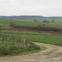 Parcelles agricoles de chaque côté d'un chemin rural.