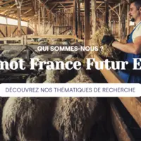 capture d'écran du site photo d'un homme avec des moutons dans une bergerie