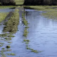 Terres agricoles inondées à cause de fortes pluies.