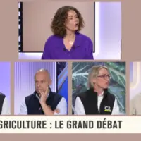 Pierrick Horel, Arnaud Rousseau, Véronique Le Floc'h et Laurence Marandola débattant sur LCP.