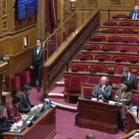 Capture d'écran du direct du Sénat, lors de l'adoption de la proposition de loi dite sur les "Entraves".