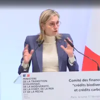 Agnès Pannier-Runacher