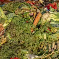 différents légumes abimés