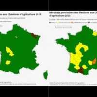 Comparaison des résultats au collège 1 des chefs d'exploitation agricole aux élections chambres d'agriculture entre 2019 et 2025