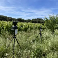 station météo au bord d'un champ de vigne