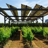 Ombrières photovoltaïques au-dessus de vignes