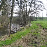 cours d'eau en bordure de prairie