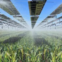 Cultures irriguées sous canopée agricole.