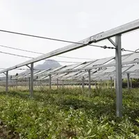 Panneaux agrivoltaïques