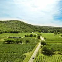 paysage agricole