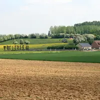 Terres agricoles avec un village
