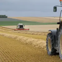 machines effectuant la moisson dans un champ