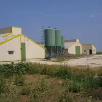 Elevage de volailles