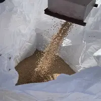 Remplissage d'un big bag de semences traitées par une entreprise de triage et de préparation de semences à façon.